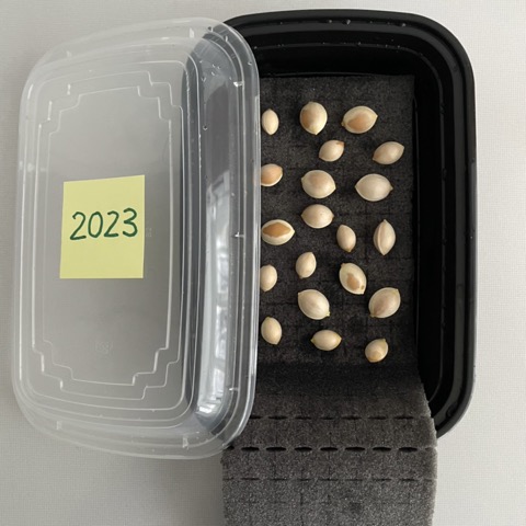 Buy Wholesale China Extend Bamboo Ziplock Bag Storage Organizer For Kitchen  Drawer,openable Food Storage Bag Holders Box & Ziplock Organizer at USD 5.1